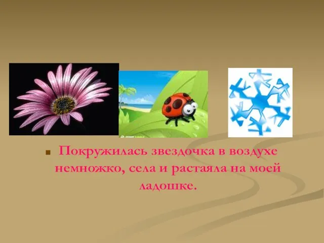 Покружилась звездочка в воздухе немножко, села и растаяла на моей ладошке.