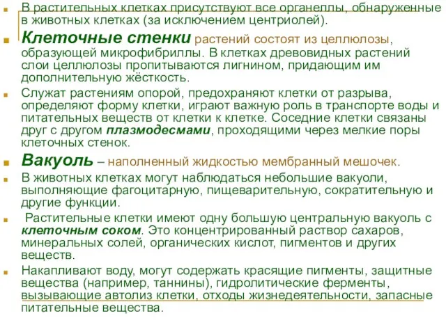 В растительных клетках присутствуют все органеллы, обнаруженные в животных клетках (за