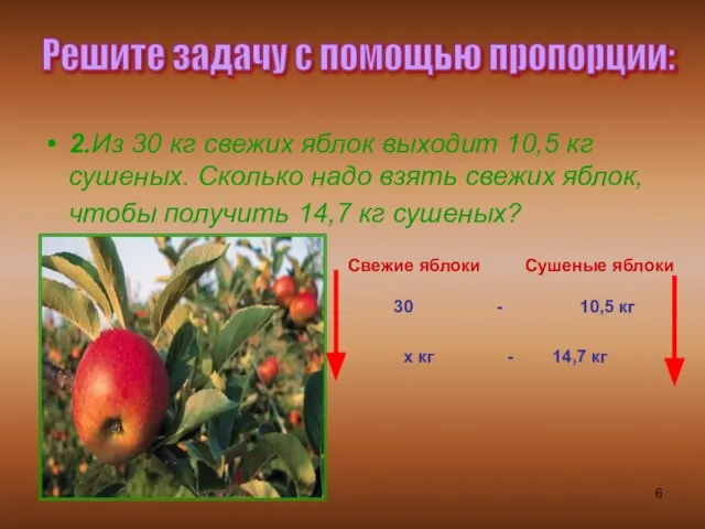 2.Из 30 кг свежих яблок выходит 10,5 кг сушеных. Сколько надо