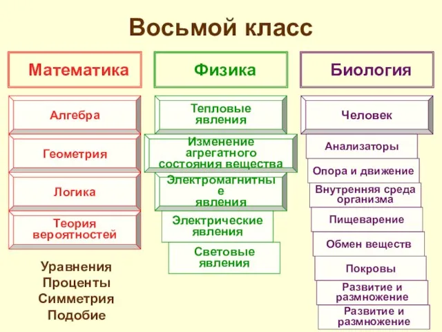 Восьмой класс Уравнения Проценты Симметрия Подобие Математика Физика Биология Алгебра Геометрия