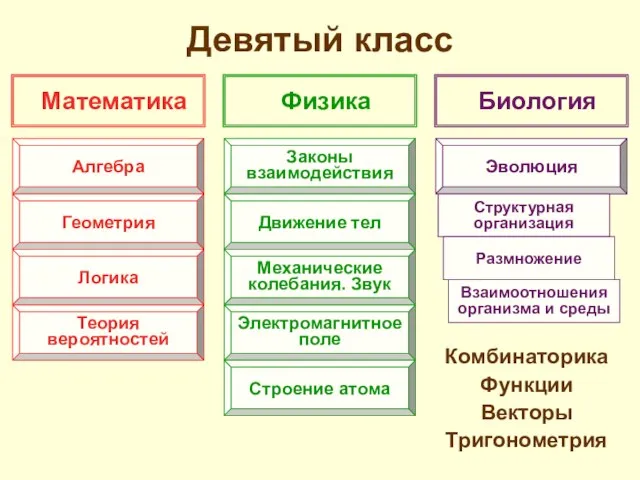 Девятый класс Комбинаторика Функции Векторы Тригонометрия Математика Физика Биология Алгебра Геометрия