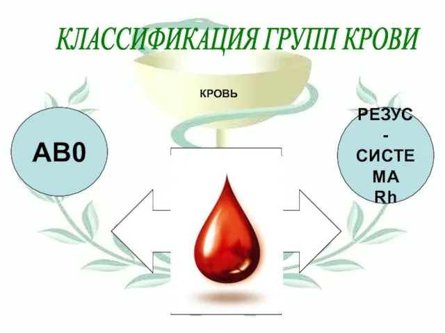 КРОВЬ КЛАССИФИКАЦИЯ ГРУПП КРОВИ АВ0 РЕЗУС- СИСТЕМА Rh