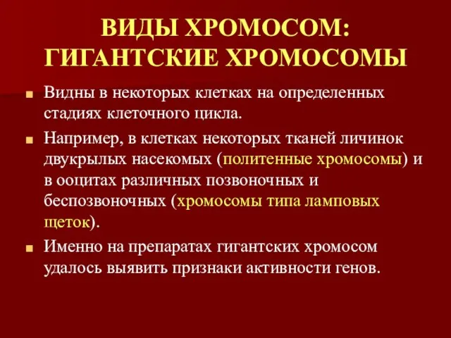 ВИДЫ ХРОМОСОМ: ГИГАНТСКИЕ ХРОМОСОМЫ Видны в некоторых клетках на определенных стадиях