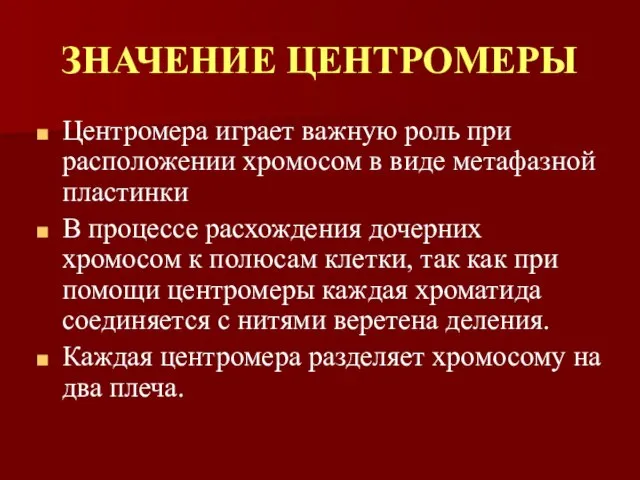 ЗНАЧЕНИЕ ЦЕНТРОМЕРЫ Центромера играет важную роль при расположении хромосом в виде