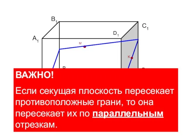 A B С B1 D1 D K M C1 A1 ВАЖНО!