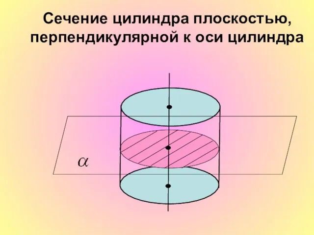 Сечение цилиндра плоскостью, перпендикулярной к оси цилиндра