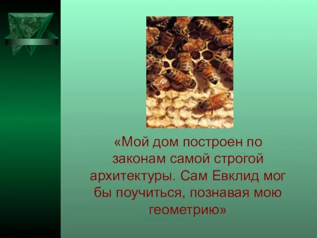 «Мой дом построен по законам самой строгой архитектуры. Сам Евклид мог бы поучиться, познавая мою геометрию»