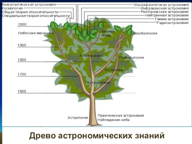 Древо астрономических знаний