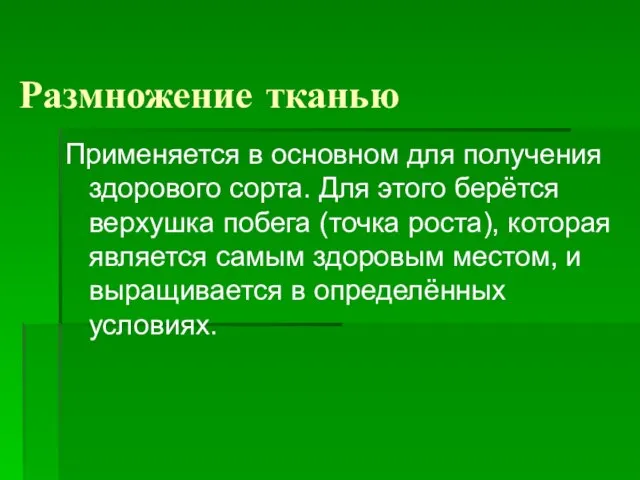 Размножение тканью Применяется в основном для получения здорового сорта. Для этого