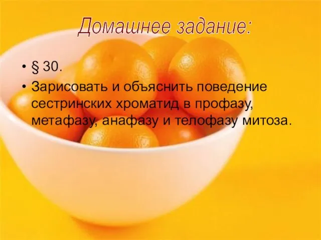 § 30. Зарисовать и объяснить поведение сестринских хроматид в профазу,метафазу, анафазу и телофазу митоза. Домашнее задание: