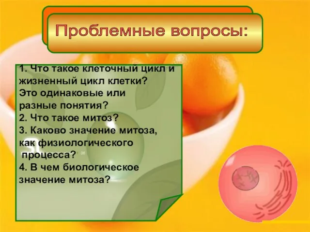 1. Что такое клеточный цикл и жизненный цикл клетки? Это одинаковые