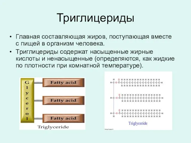 Триглицериды Главная составляющая жиров, поступающая вместе с пищей в организм человека.