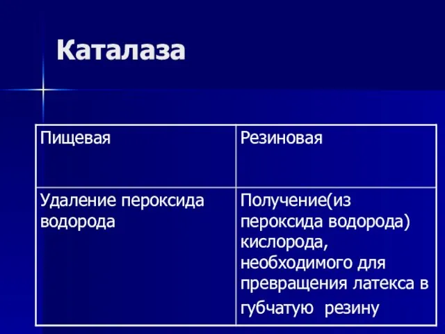 Каталаза