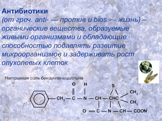 Антибиотики (от греч. anti- — против и biоs — жизнь) –