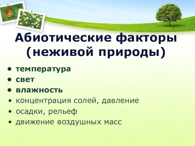 Абиотические факторы (неживой природы) температура свет влажность концентрация солей, давление осадки, рельеф движение воздушных масс