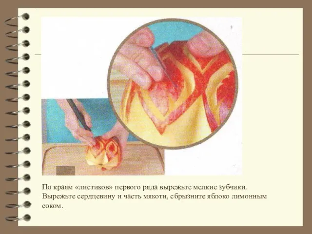 По краям «листиков» первого ряда вырежьте мелкие зубчики. Вырежьте сердцевину и