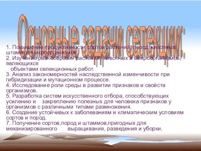 Основные задачи селекции: 1. Повышение продуктивности сортов растений, пород животных, штаммов