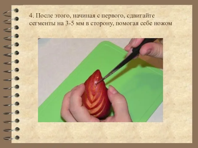 4. После этого, начиная с первого, сдвигайте сегменты на 3-5 мм в сторону, помогая себе ножом