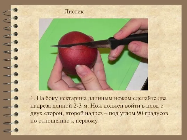 Листик 1. На боку нектарина длинным ножом сделайте два надреза длиной