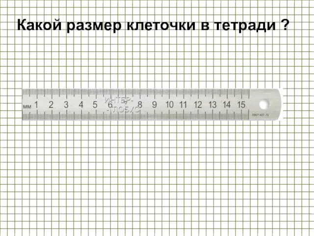 Какой размер клеточки в тетради ?