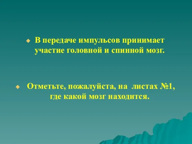 В передаче импульсов принимает участие головной и спинной мозг. Отметьте, пожалуйста,