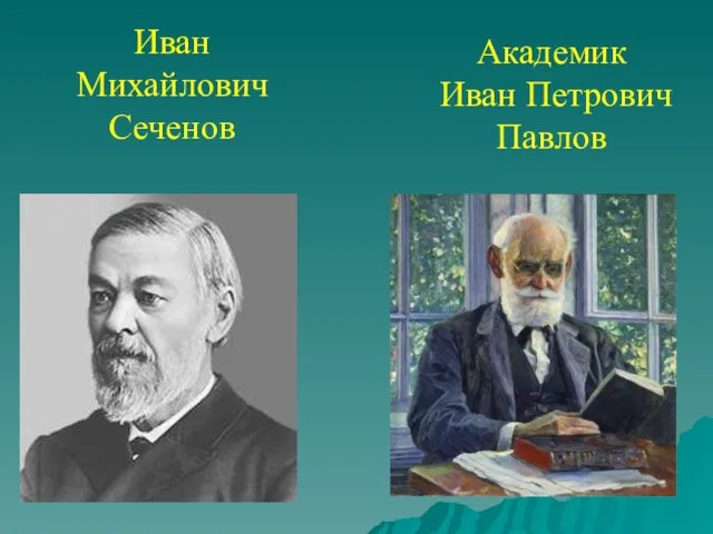 Иван Михайлович Сеченов Академик Иван Петрович Павлов