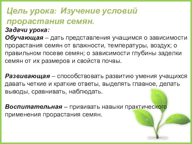 Цель урока: Изучение условий прорастания семян. Задачи урока: Обучающая – дать