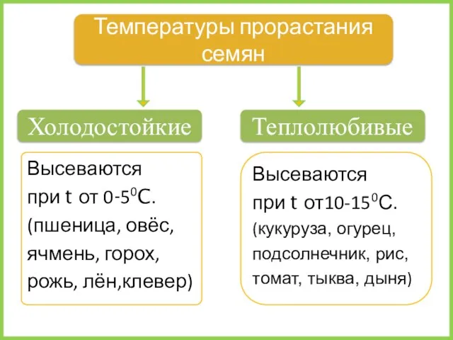 Высеваются при t от 0-50C. (пшеница, овёс, ячмень, горох, рожь, лён,клевер)