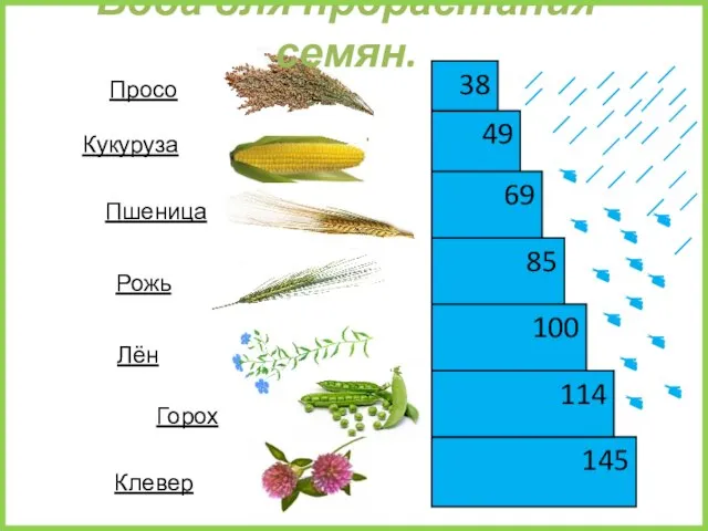 145 49 85 69 114 38 100 Кукуруза Пшеница Рожь Лён