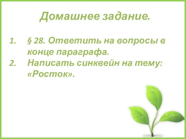 Домашнее задание. § 28. Ответить на вопросы в конце параграфа. Написать синквейн на тему: «Росток».