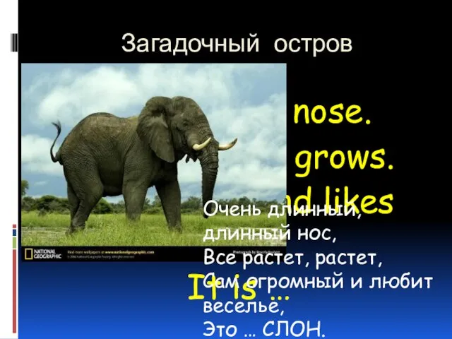 Загадочный остров A very long nose. It grows and grows. Не