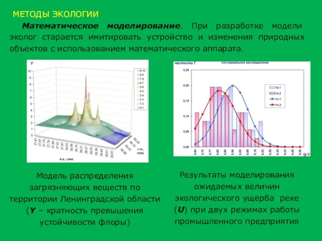 Математическое моделирование. При разработке модели эколог старается имитировать устройство и изменения