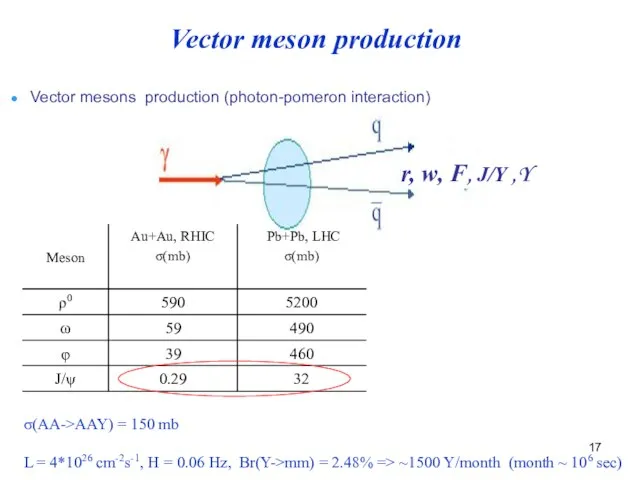 Vector mesons production (photon-pomeron interaction) σ(AA->AAY) = 150 mb L =