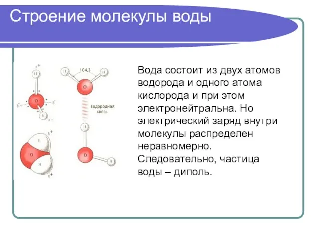 Строение молекулы воды Вода состоит из двух атомов водорода и одного