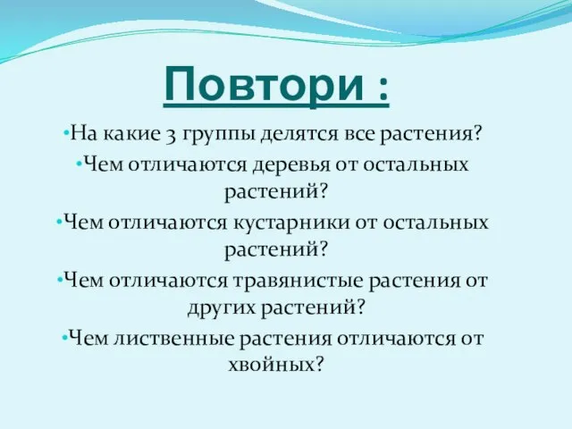 Повтори : На какие 3 группы делятся все растения? Чем отличаются