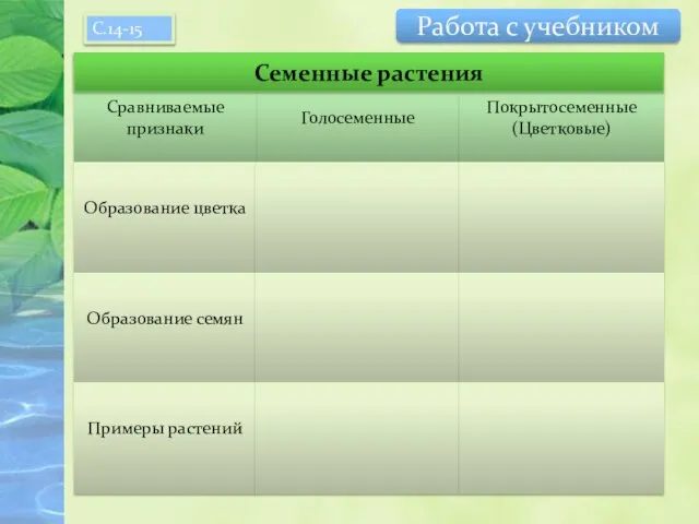 Голосеменные Покрытосеменные (Цветковые) Сравниваемые признаки Образование цветка Образование семян Примеры растений