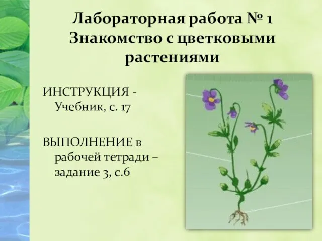 ИНСТРУКЦИЯ - Учебник, с. 17 ВЫПОЛНЕНИЕ в рабочей тетради – задание