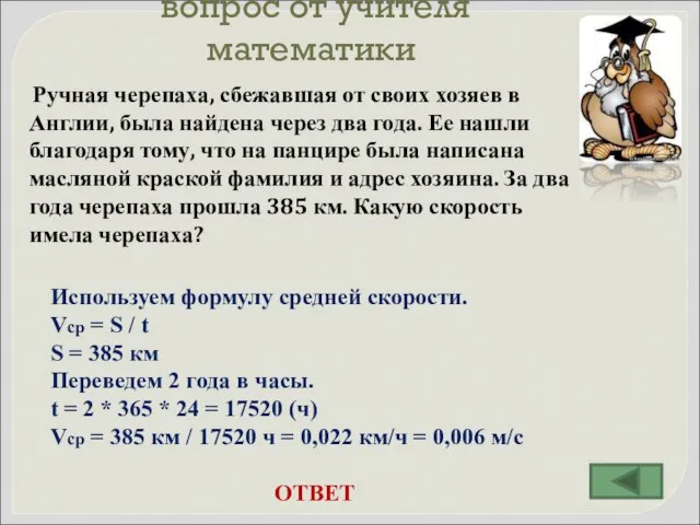 вопрос от учителя математики Ручная черепаха, сбежавшая от своих хозяев в