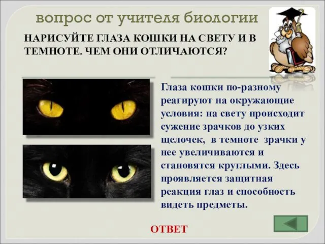 вопрос от учителя биологии НАРИСУЙТЕ ГЛАЗА КОШКИ НА СВЕТУ И В