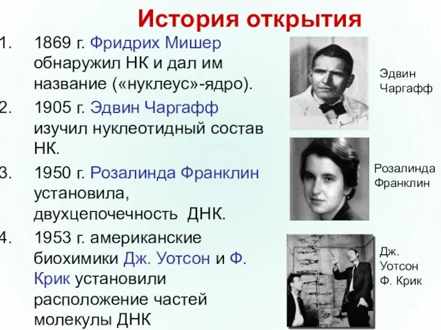 История открытия 1869 г. Фридрих Мишер обнаружил НК и дал им