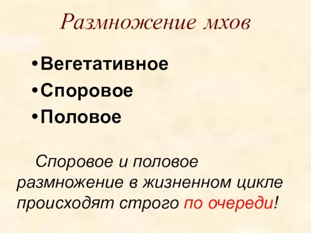 Размножение мхов Вегетативное Споровое Половое Споровое и половое размножение в жизненном цикле происходят строго по очереди!