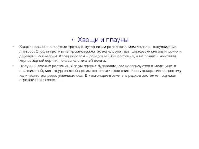 Хвощи и плауны Хвощи невысокие жесткие травы, с мутовчатым расположением мелких,