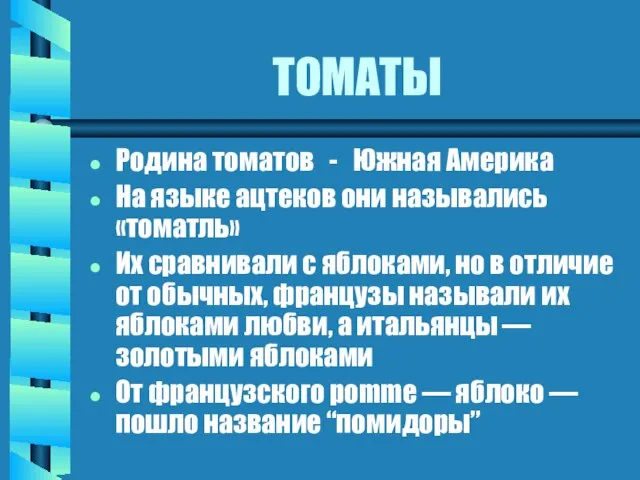 ТОМАТЫ Родина томатов - Южная Америка На языке ацтеков они назывались