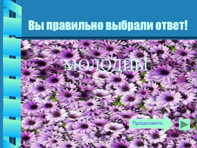 Вы правильно выбрали ответ! МОЛОДЦЫ ! Продолжить