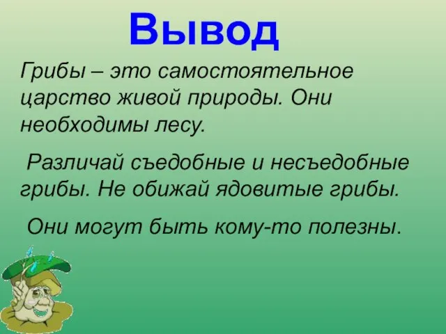 Вывод Грибы – это самостоятельное царство живой природы. Они необходимы лесу.