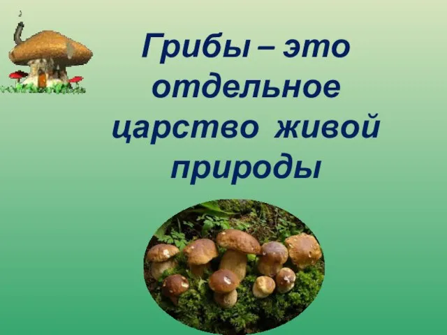 Грибы – это отдельное царство живой природы