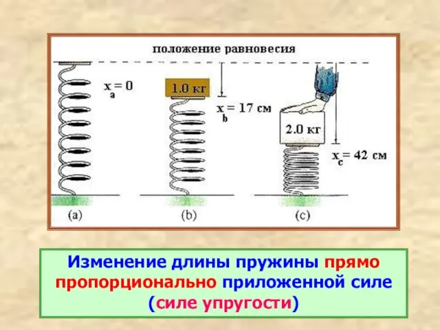 Изменение длины пружины прямо пропорционально приложенной силе (силе упругости)