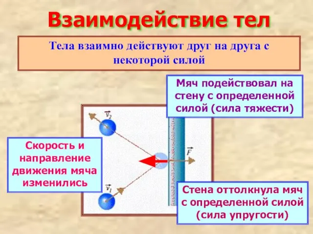 Взаимодействие тел Тела взаимно действуют друг на друга с некоторой силой