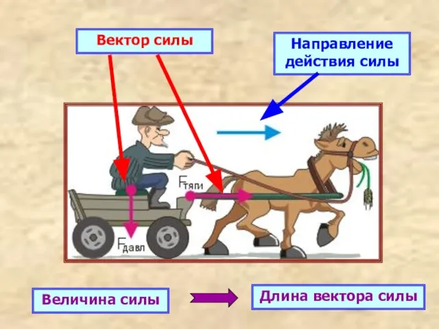 Направление действия силы Величина силы Вектор силы Длина вектора силы