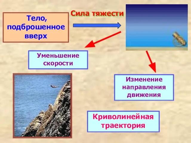 Тело, подброшенное вверх Сила тяжести Уменьшение скорости Изменение направления движения Криволинейная траектория